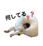 nnnyyyooo（個別スタンプ：7）