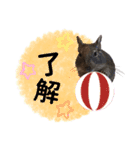 degu pearl stamp（個別スタンプ：2）