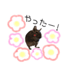 degu pearl stamp（個別スタンプ：3）