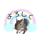 degu pearl stamp（個別スタンプ：10）