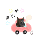 degu pearl stamp（個別スタンプ：11）