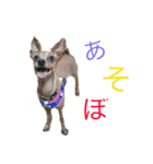 ミニピン☆関西弁☆（個別スタンプ：32）