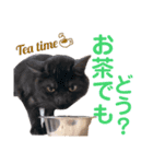 かぎさんと紫苑 4（個別スタンプ：5）
