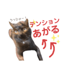 かぎさんと紫苑 4（個別スタンプ：6）