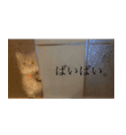 うにたんの日常（個別スタンプ：6）