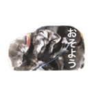 クルベルちゃんの1日（個別スタンプ：19）