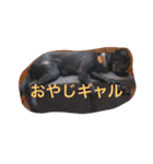 クルベルちゃんの1日（個別スタンプ：20）