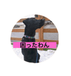 クルベルちゃんの1日（個別スタンプ：21）