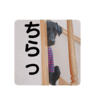 クルベルちゃんの1日（個別スタンプ：27）