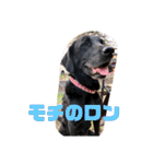 クルベルちゃんの1日（個別スタンプ：28）