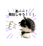 保護猫豆太郎とうさぎの困り顔漣くん（個別スタンプ：10）
