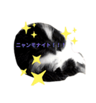 保護猫豆太郎とうさぎの困り顔漣くん（個別スタンプ：11）