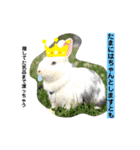 保護猫豆太郎とうさぎの困り顔漣くん（個別スタンプ：18）
