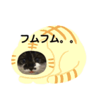 保護猫豆太郎とうさぎの困り顔漣くん（個別スタンプ：20）