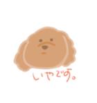 トイプーのCalbeeちゃんスタンプ（個別スタンプ：3）
