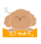 トイプーのCalbeeちゃんスタンプ（個別スタンプ：8）