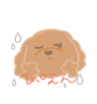 トイプーのCalbeeちゃんスタンプ（個別スタンプ：9）