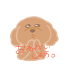トイプーのCalbeeちゃんスタンプ（個別スタンプ：11）