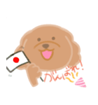 トイプーのCalbeeちゃんスタンプ（個別スタンプ：12）