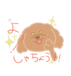 トイプーのCalbeeちゃんスタンプ（個別スタンプ：13）