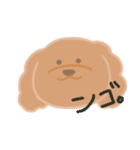 トイプーのCalbeeちゃんスタンプ（個別スタンプ：15）