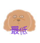 トイプーのCalbeeちゃんスタンプ（個別スタンプ：18）