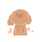 トイプーのCalbeeちゃんスタンプ（個別スタンプ：19）