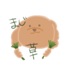 トイプーのCalbeeちゃんスタンプ（個別スタンプ：20）