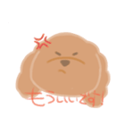 トイプーのCalbeeちゃんスタンプ（個別スタンプ：21）