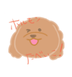 トイプーのCalbeeちゃんスタンプ（個別スタンプ：22）