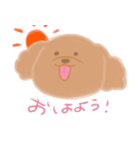 トイプーのCalbeeちゃんスタンプ（個別スタンプ：24）