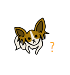 愛犬マロン（パピヨン）のスタンプ（個別スタンプ：7）