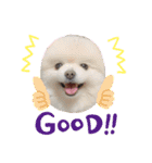 小林さんちの犬2（個別スタンプ：4）