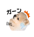 小林さんちの犬2（個別スタンプ：8）