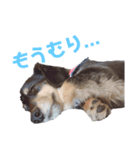 だいずシリーズ①（個別スタンプ：2）