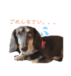 だいずシリーズ①（個別スタンプ：6）