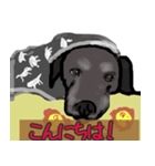 黒ラブぽんたくん（個別スタンプ：1）