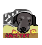黒ラブぽんたくん（個別スタンプ：3）