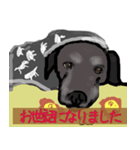 黒ラブぽんたくん（個別スタンプ：4）