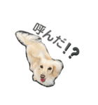 Creeeam（個別スタンプ：2）