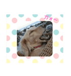 Creeeam（個別スタンプ：11）