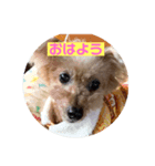 空ちゃんのあいさつ（個別スタンプ：1）