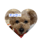 空ちゃんのあいさつ（個別スタンプ：4）