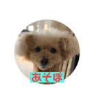 空ちゃんのあいさつ（個別スタンプ：6）