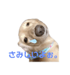 みるおくんスタンプ（個別スタンプ：9）