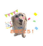 みるおくんスタンプ（個別スタンプ：10）