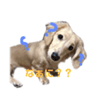 みるおくんスタンプ（個別スタンプ：13）