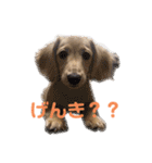 みるおくんスタンプ（個別スタンプ：28）