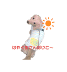 みるおくんスタンプ（個別スタンプ：32）