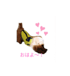 我が家のゆかいななかまたち（個別スタンプ：1）